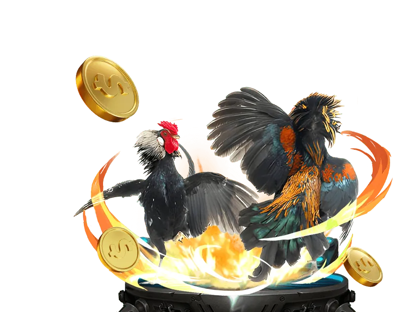 Biểu tượng WIN2026VN